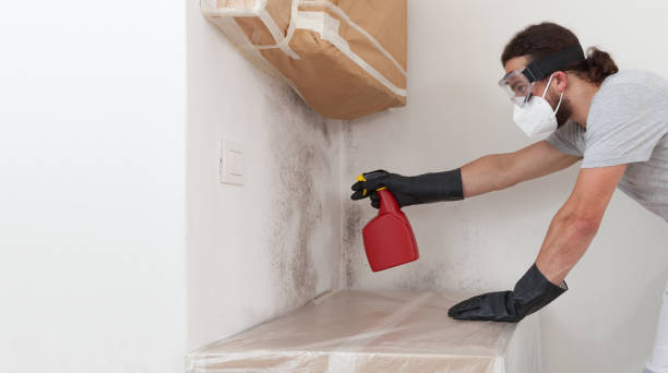 Professional Mold Removal technician working in North Babylon, NY